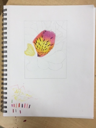 Heather- Flower Sketch